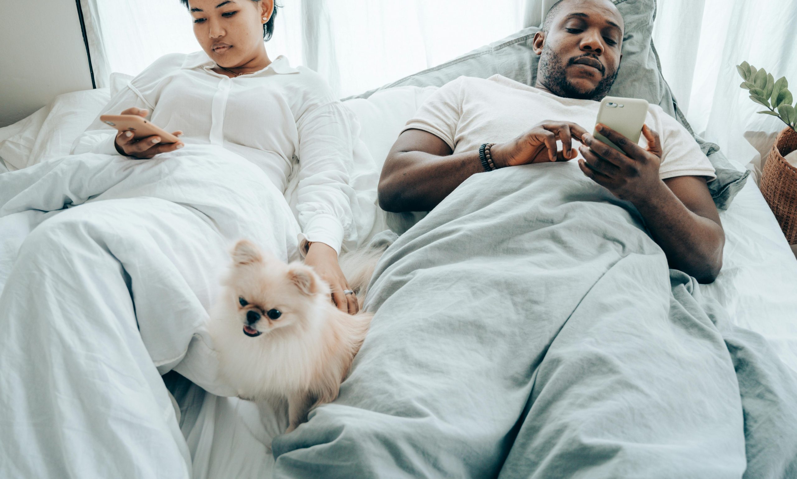 Couple in bed on their phones