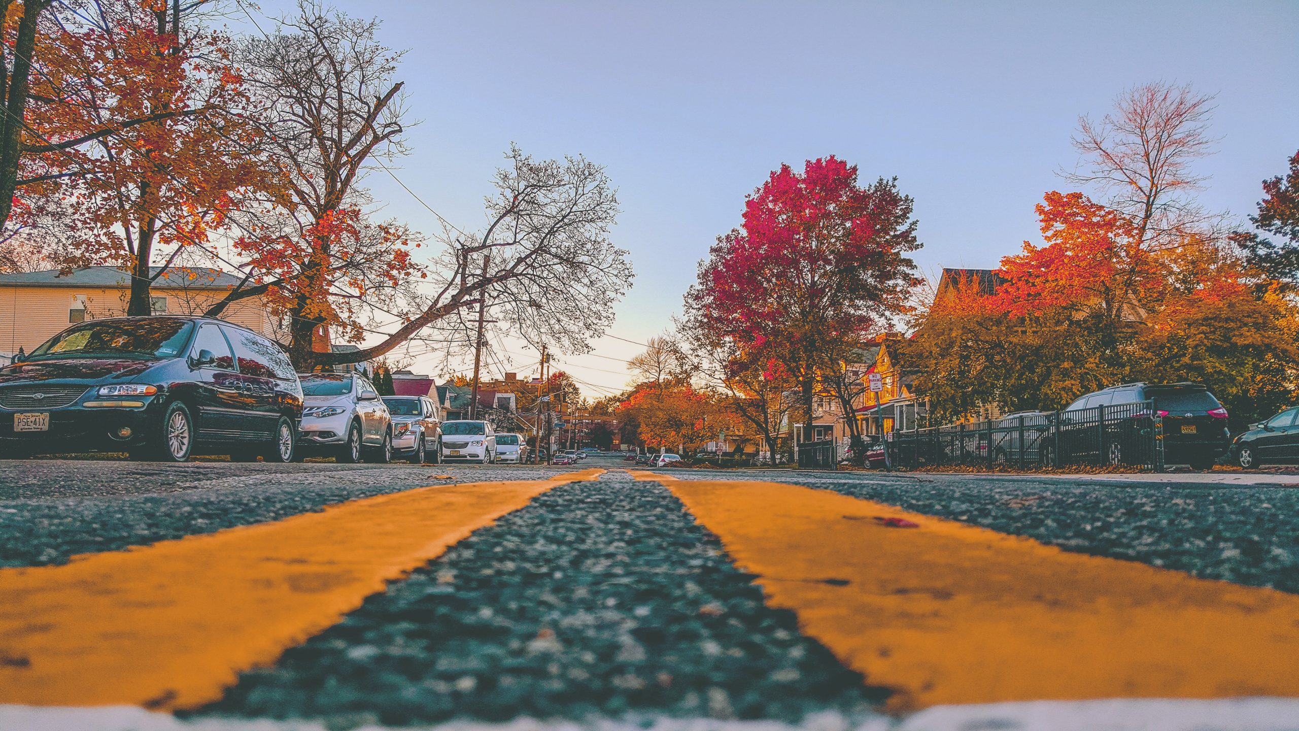 Suburban street in the fall