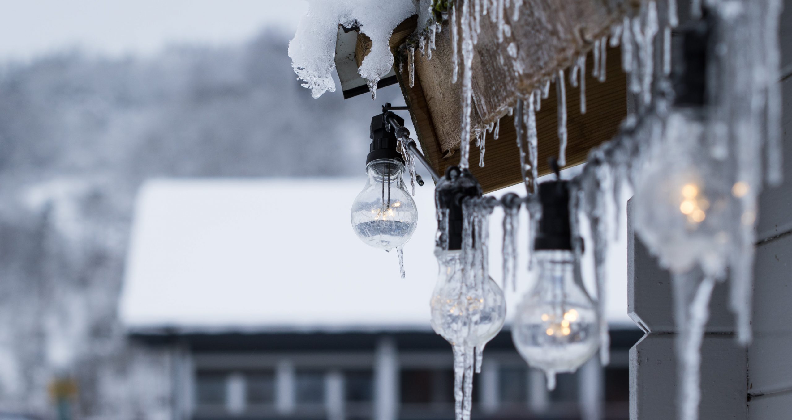 Ice hanging from lightbulbs